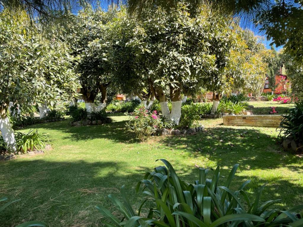 Vila La Huerta Mazamitla Exteriér fotografie
