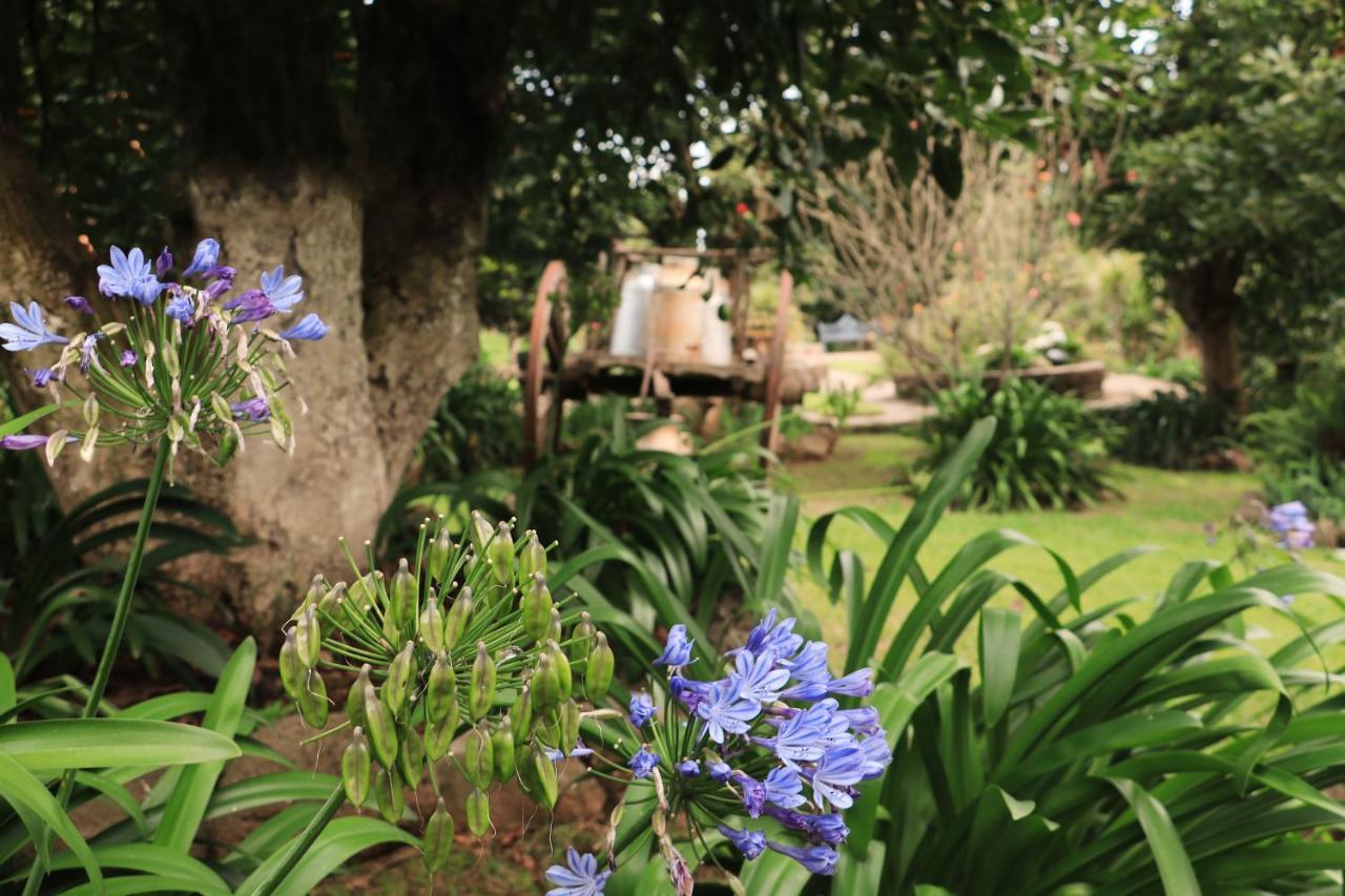 Vila La Huerta Mazamitla Exteriér fotografie