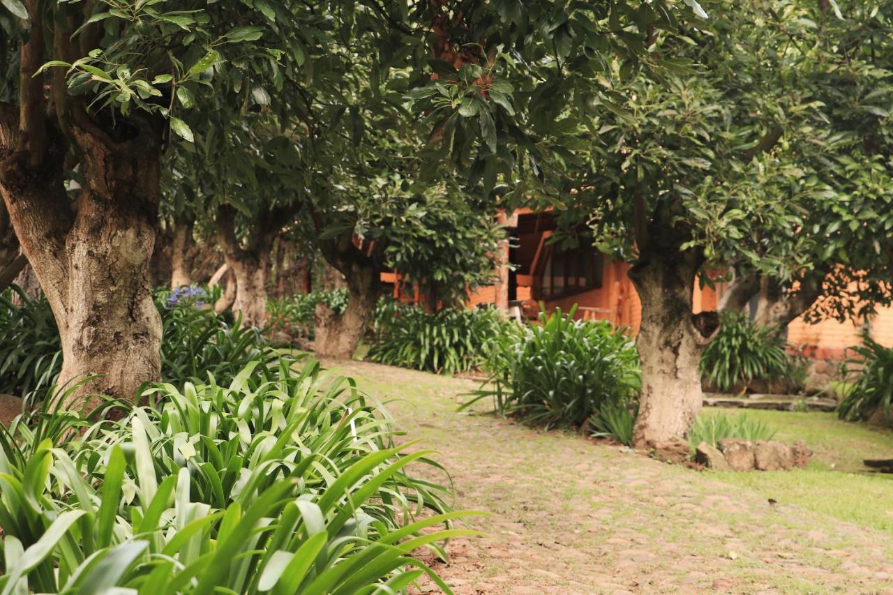 Vila La Huerta Mazamitla Exteriér fotografie